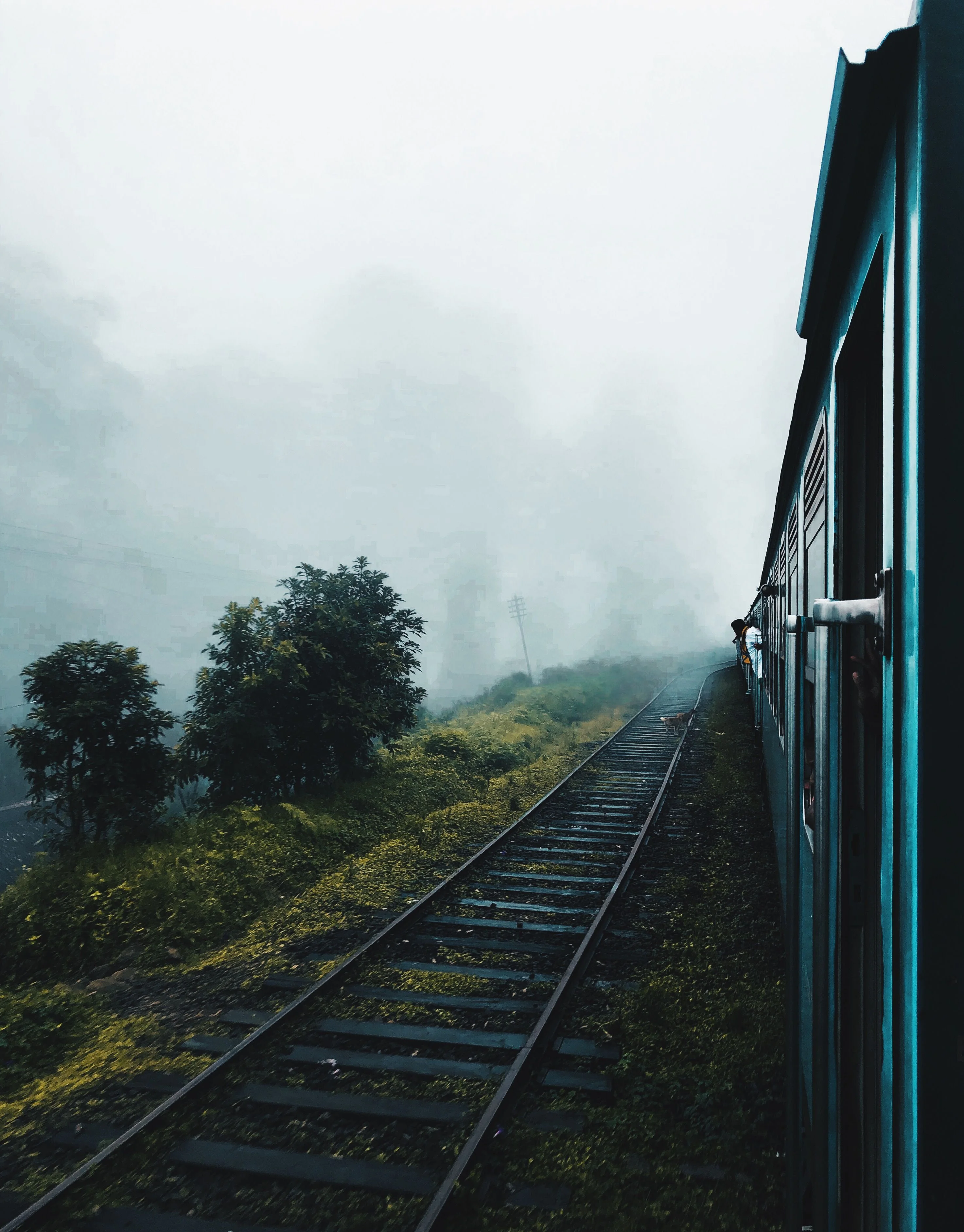 Scenic highland train journey near Ella