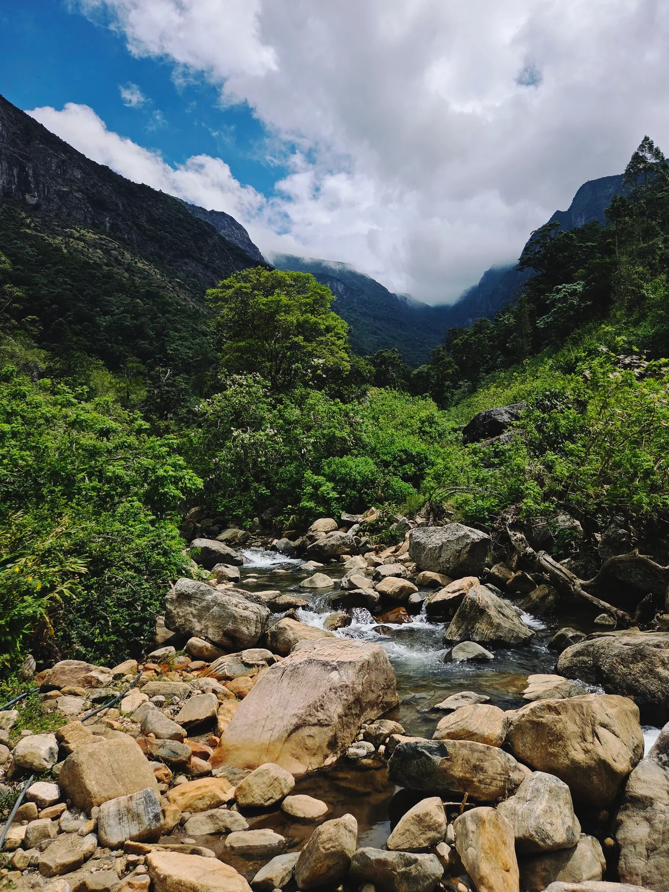 Sri Lankan nature and landscape