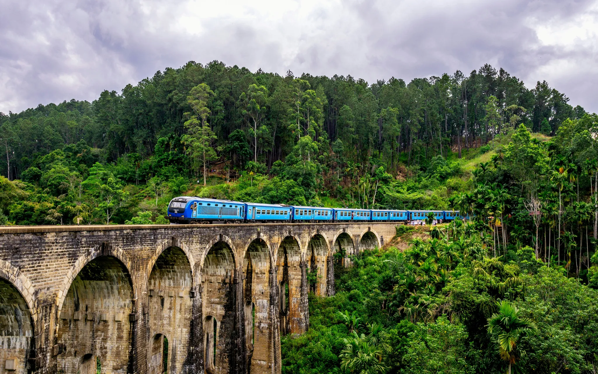 Scenic highland train journey near Ella