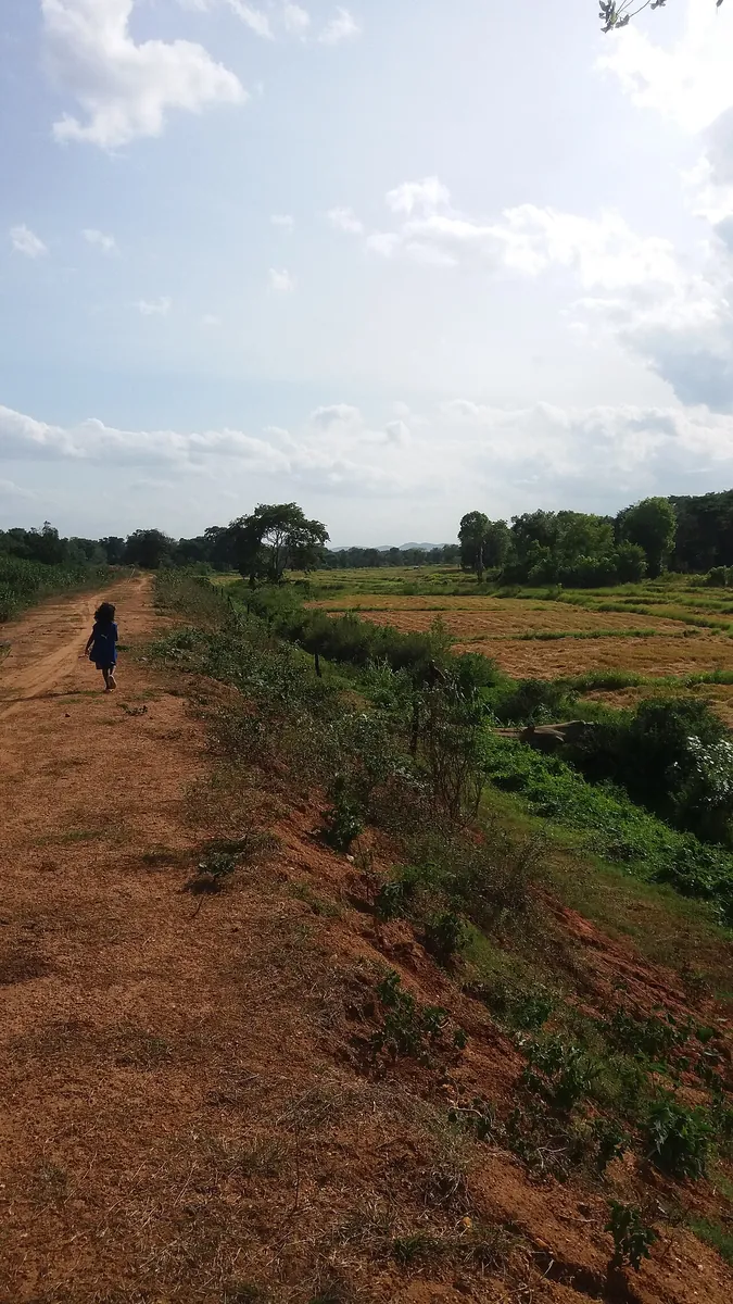 Rural landscapes and village life in Sri Lanka