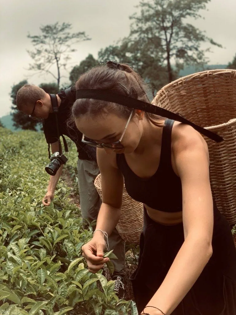 Guests trying a tea-picking experience in Sri Lanka's hill country